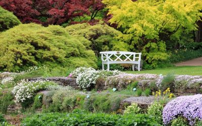 Comment créer un massif boisé au jardin ?