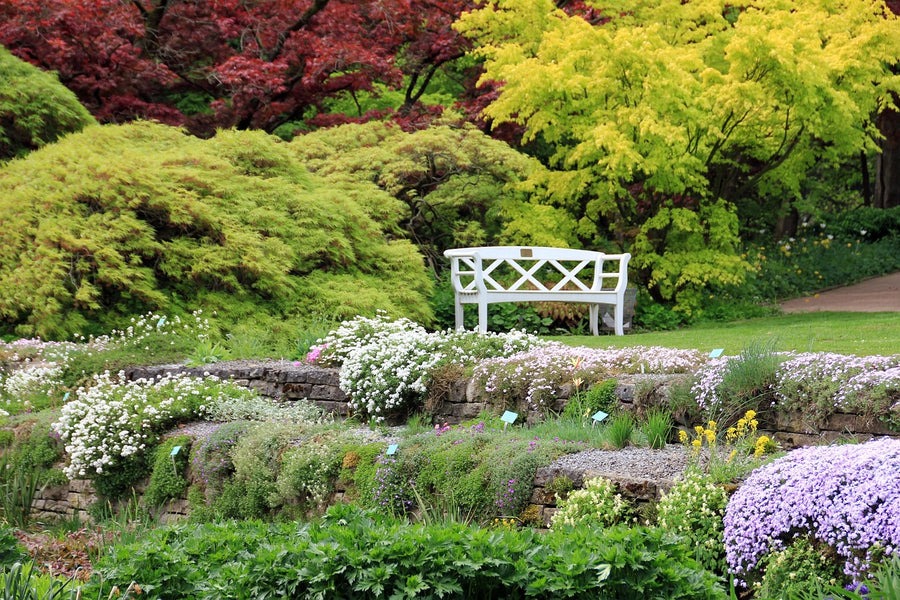 Comment créer un massif boisé au jardin ?